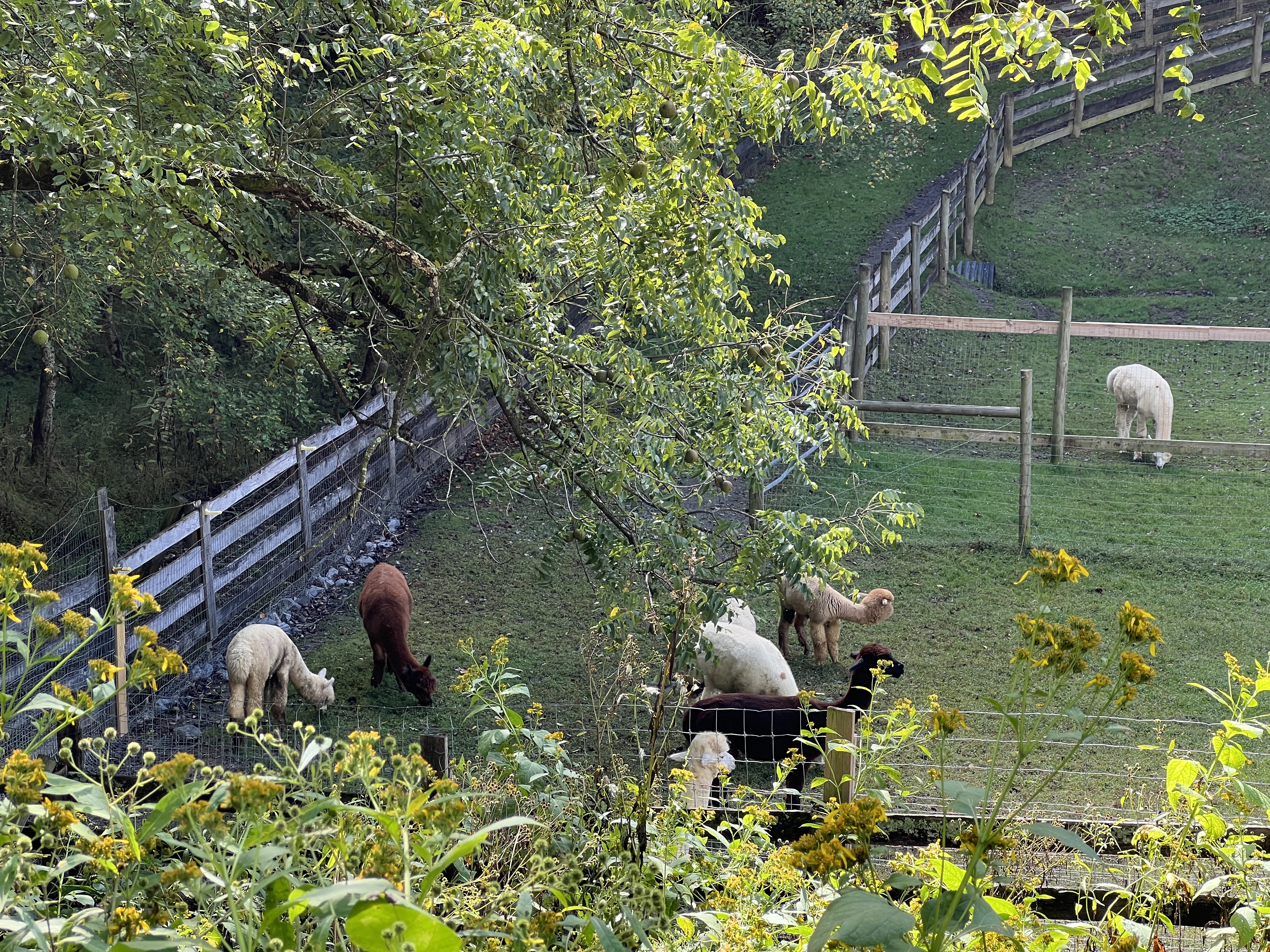 ./2025/11 - Nashville Trip/IMG_7355.JPG